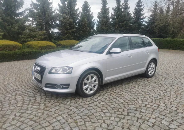 samochody osobowe Audi A3 cena 38500 przebieg: 127250, rok produkcji 2011 z Legnica